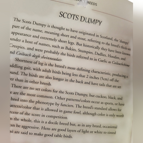 Cool Chickens Book NEW By Fern Collins - Picture 8 of 14